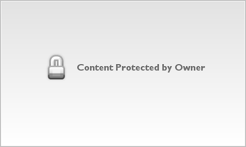 Brendi R.